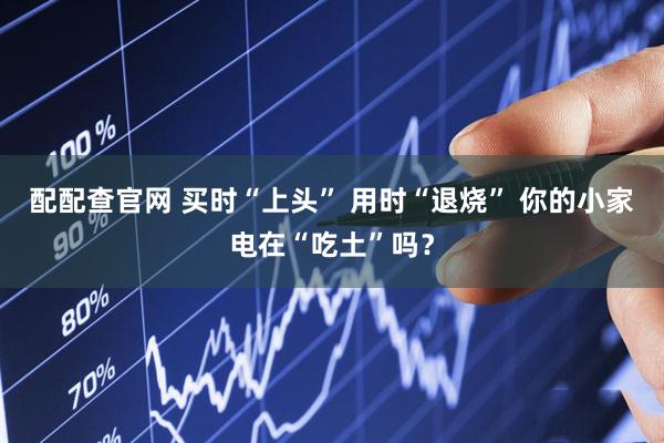 配配查官网 买时“上头” 用时“退烧” 你的小家电在“吃土”吗？